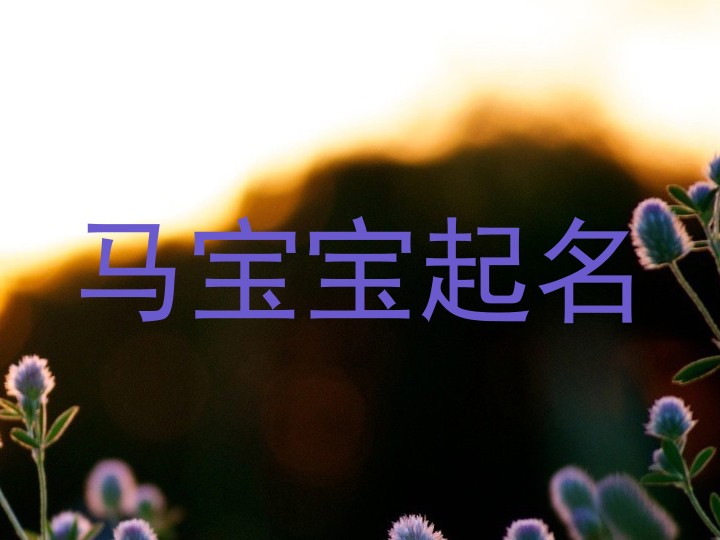 马宝宝起名