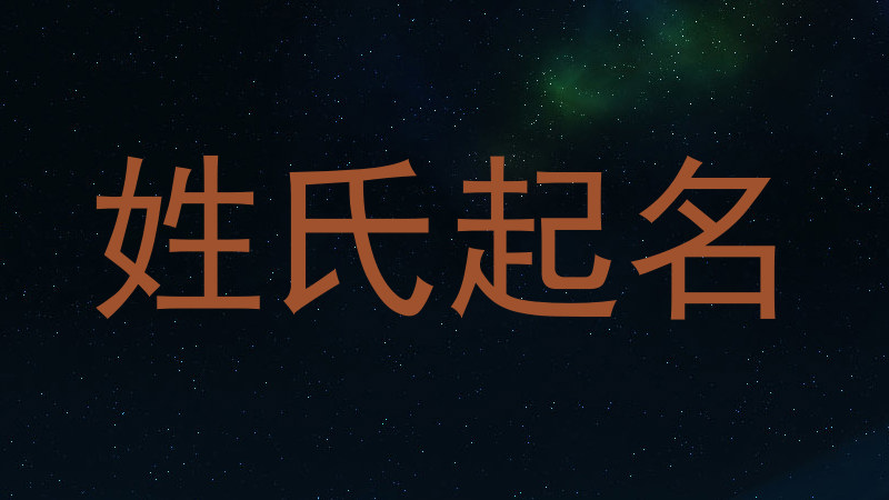 刘姓男孩