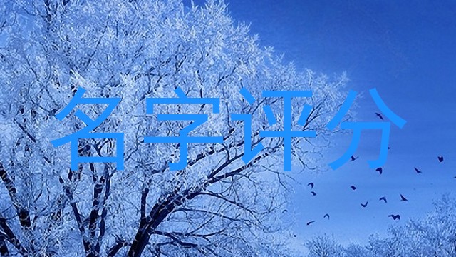 名字评分
