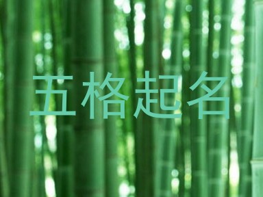 五格起名