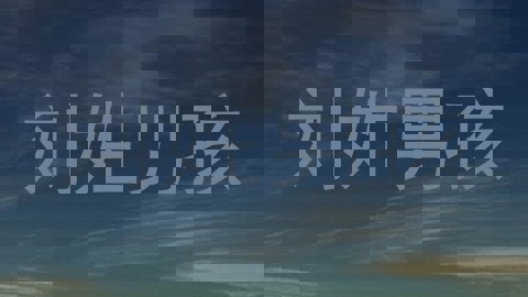 刘姓男孩