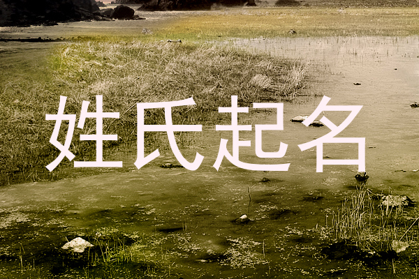 姓氏起名
