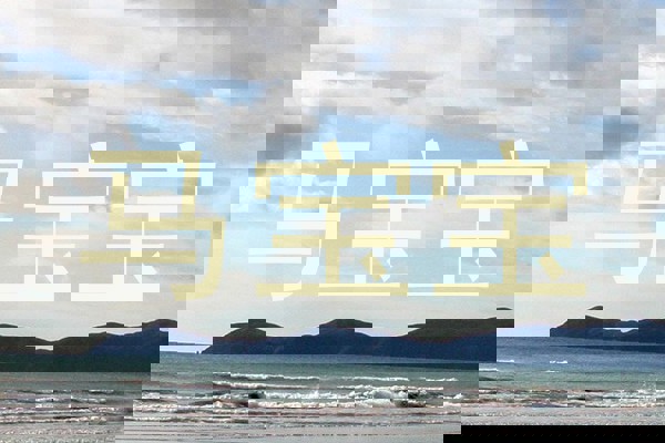 马宝宝