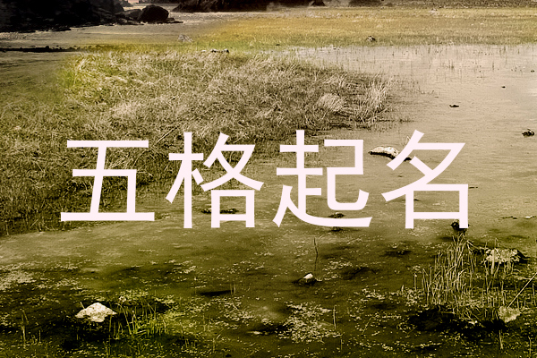五格起名