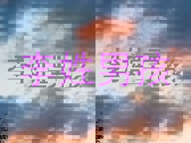 李姓男孩