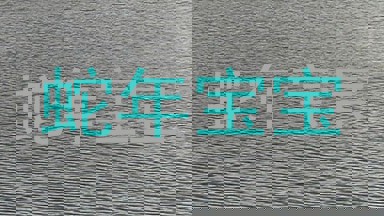蛇年宝宝
