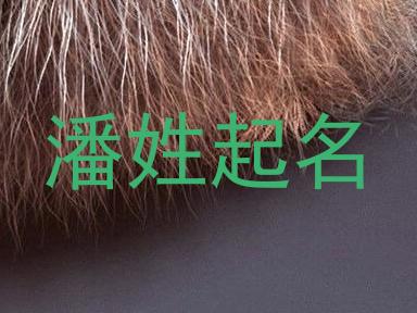 潘姓起名