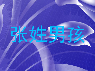 张姓男孩