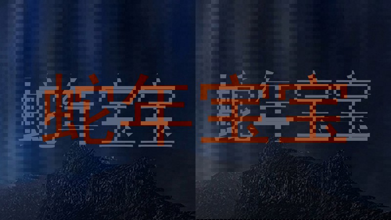 蛇年宝宝