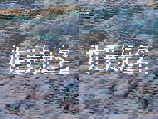 姓氏起名