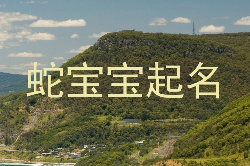 蛇宝宝起名