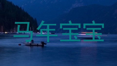 马年宝宝