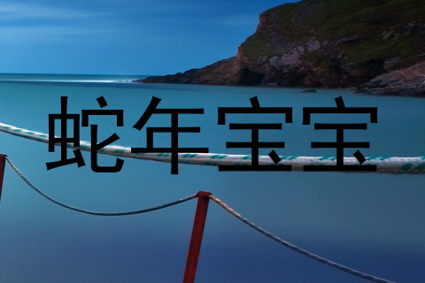 蛇年宝宝