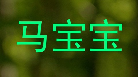 马宝宝