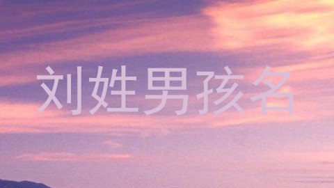 刘姓男孩名