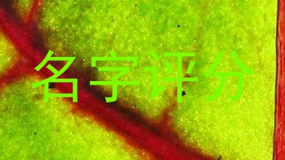 名字评分