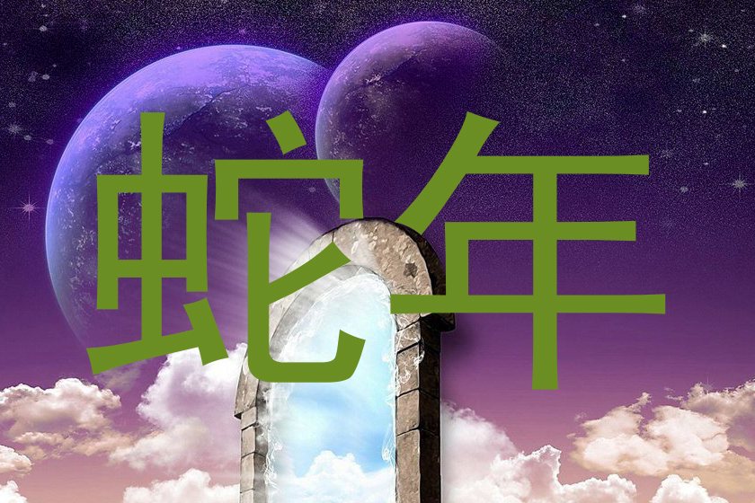 蛇年