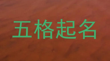 五格起名