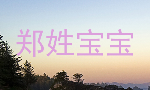 郑姓宝宝
