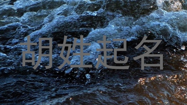 胡姓起名