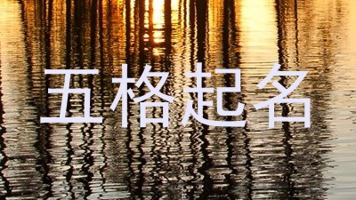 五格起名
