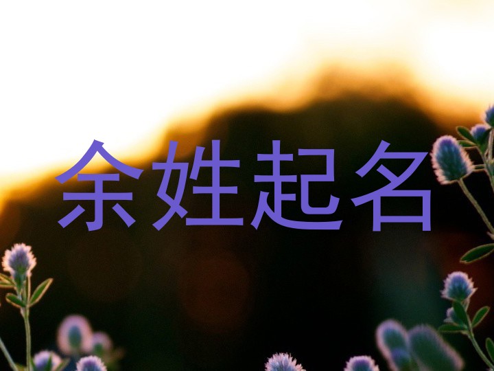 余姓起名