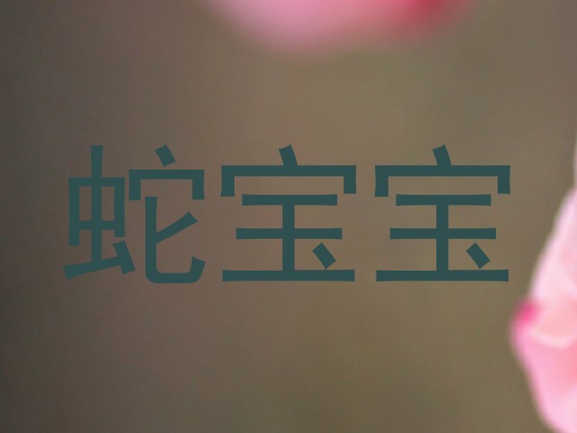 蛇宝宝