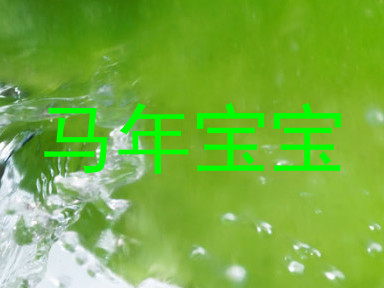 马年宝宝