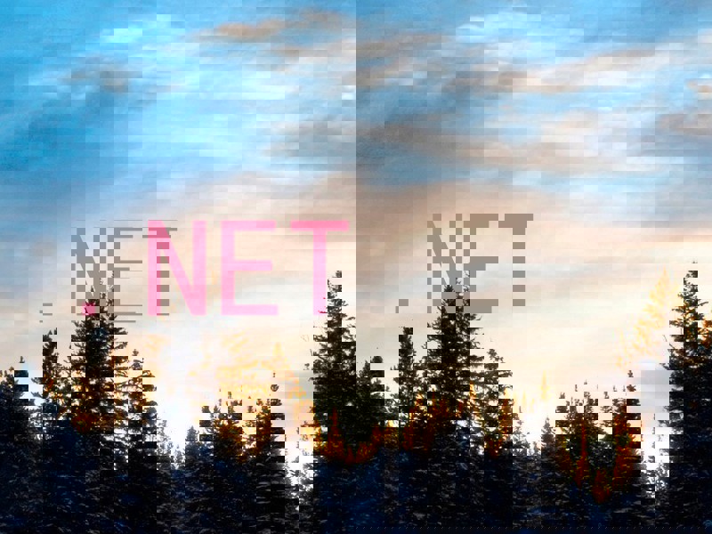 .NET