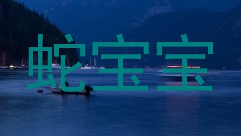 蛇宝宝