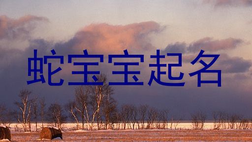 蛇宝宝起名