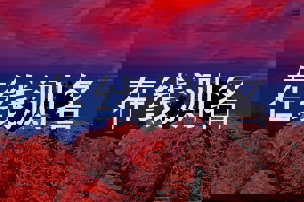 在线测名