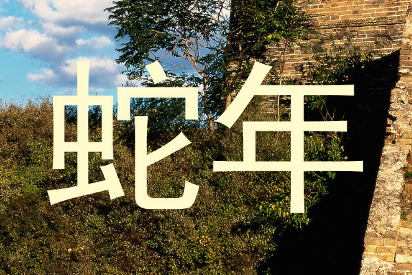 蛇年