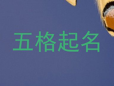 五格起名