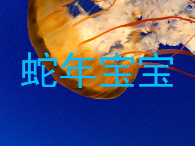 蛇年宝宝