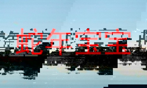 蛇年宝宝