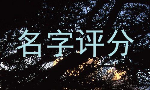名字评分