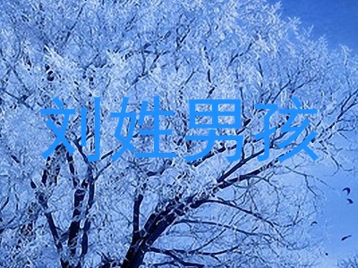 刘姓男孩