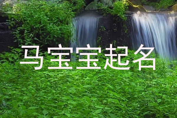 马宝宝起名