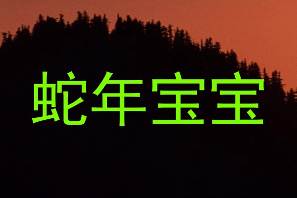 蛇年宝宝