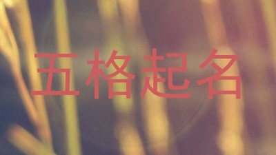 五格起名