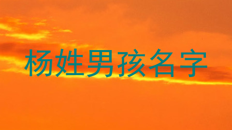 杨姓男孩名字