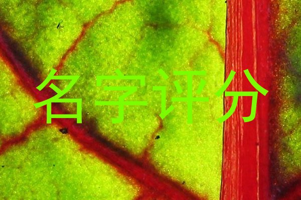名字评分