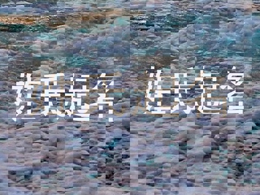 姓氏起名