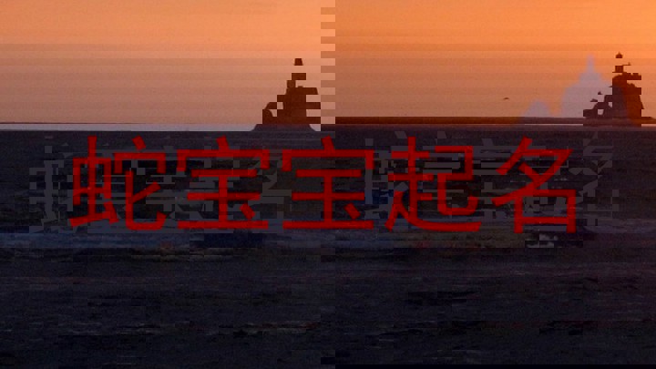 蛇宝宝起名
