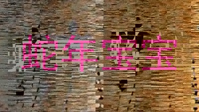 蛇年宝宝
