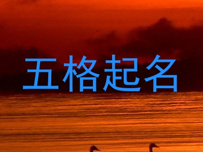 五格起名
