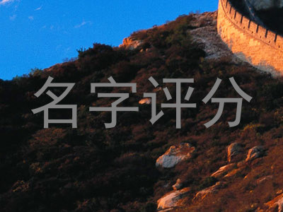 名字评分