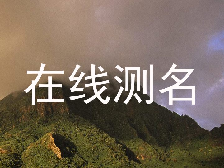 在线测名