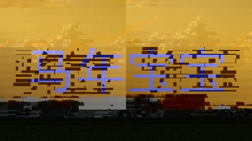 马年宝宝
